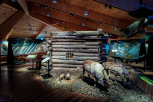 At the Svalbard Museum