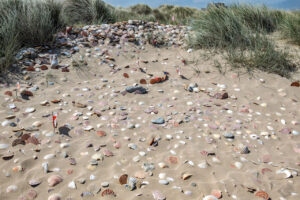 Juno Beach